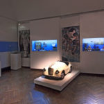 museo-evita