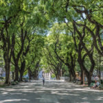plaza-sanmartin