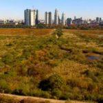 reserva-ecologica-buenos-aires