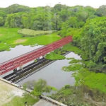 reserva-ecologica-buenos-aires-480
