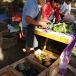ferias-productor-2