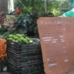 ferias-productor-4