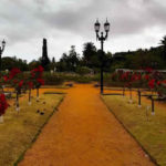 visitar-buenosaires-palermo-mob