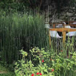 HomeHotel-bsas-brunch-3