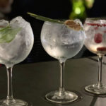 invernadero-gin-1